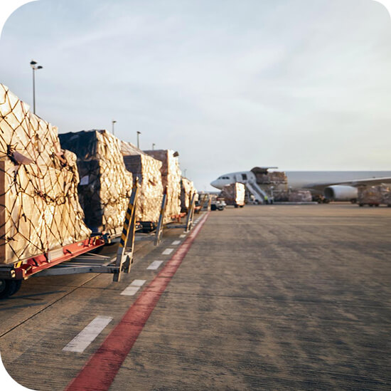 Why Businesses Trust New Silk Global